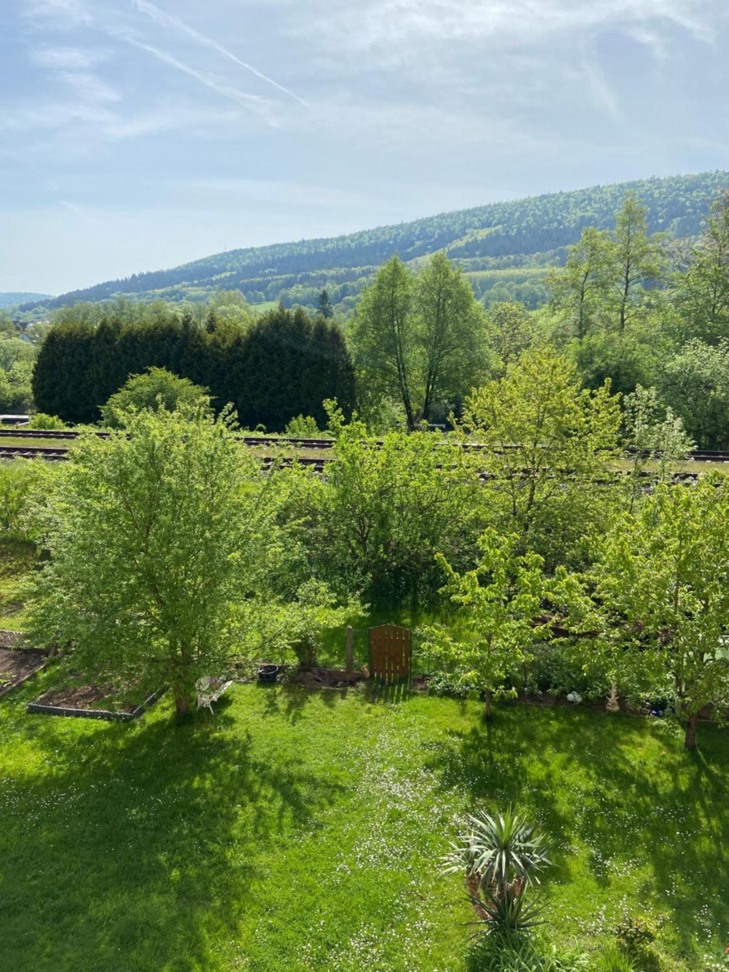 2Z-Ferienwohnung, Umgeben Vom Spessart & Main Stadtprozelten Zewnętrze zdjęcie