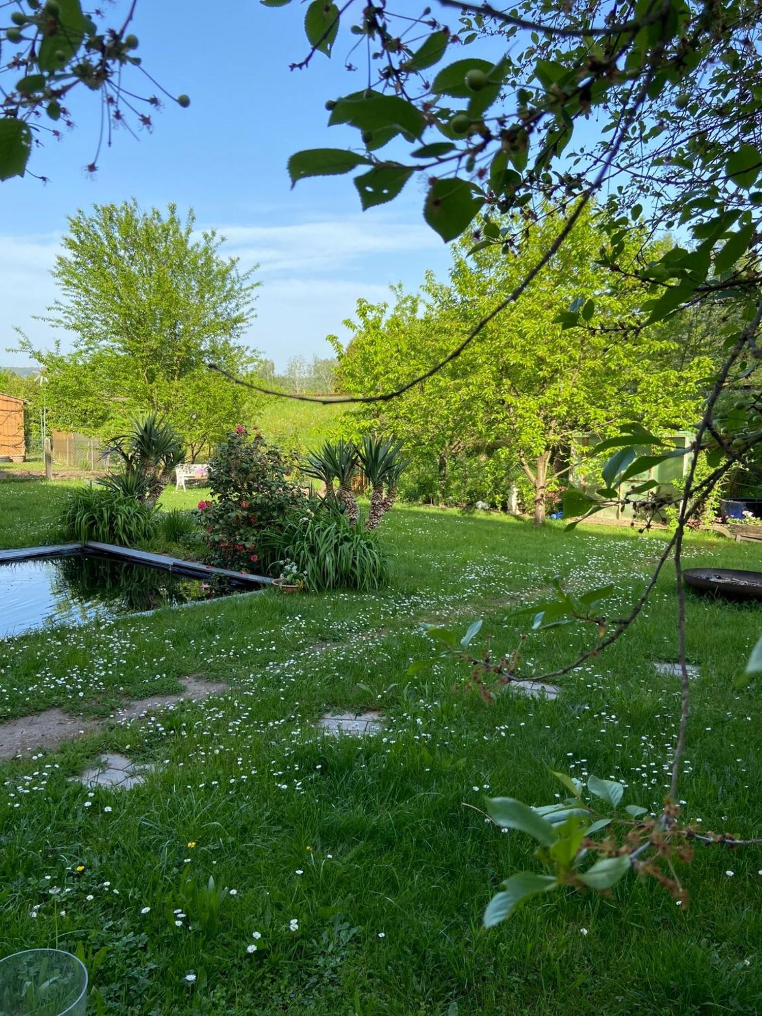 2Z-Ferienwohnung, Umgeben Vom Spessart & Main Stadtprozelten Zewnętrze zdjęcie